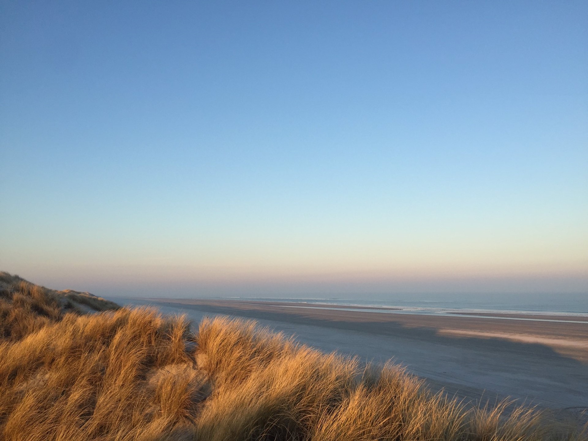 Gelukkig Leidinggeven - versterk jezelf en je organisatie